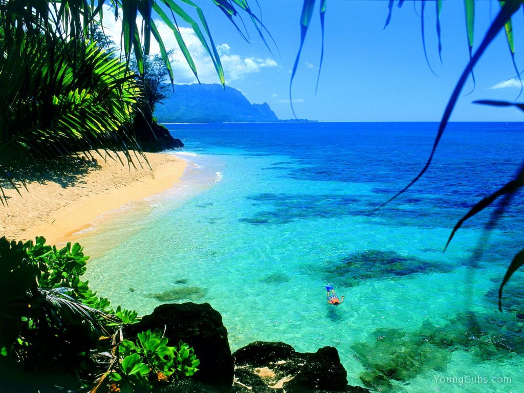 Snorkel Hawaii